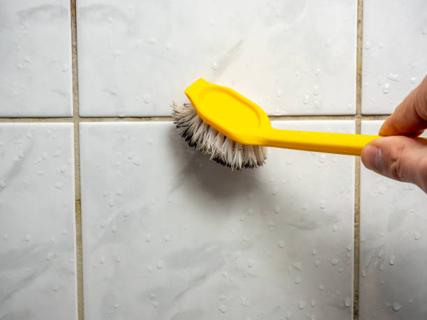 Best Mold Remediation  in Pine Lawn, MO